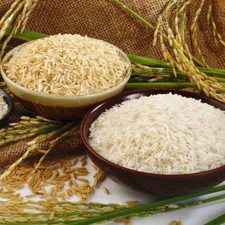 Gạo Thơm Bông Lúa Vàng